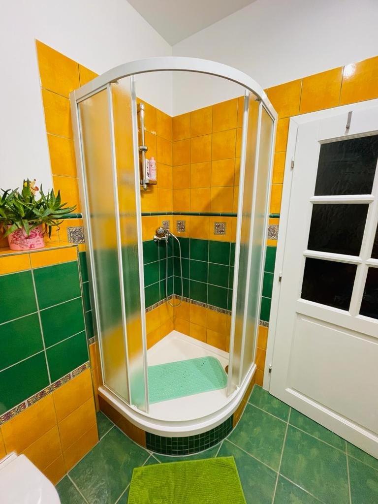 Apartman U Splavu Teplice nad Metují Kültér fotó